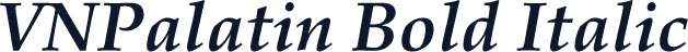 VNPalatin Bold Italic