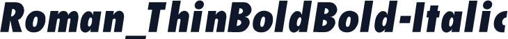 Roman_ThinBoldBold-Italic