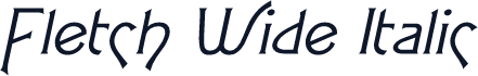Fletch Wide Italic