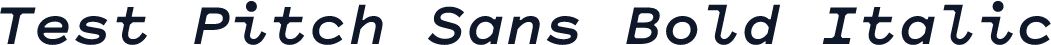 Test Pitch Sans Bold Italic
