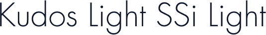 Kudos Light SSi Light