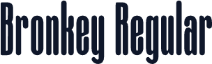 Bronkey Regular