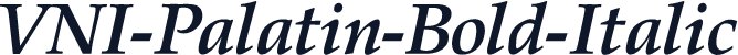 VNI-Palatin-Bold-Italic