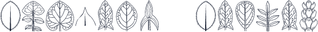 BioLeaf Becker