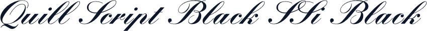 Quill Script Black SSi Black