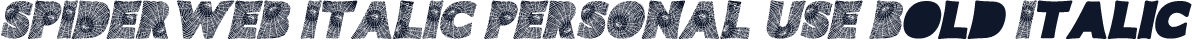 SPIDERWEB ITALIC PERSONAL USE Bold Italic