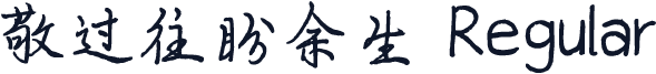 敬过往盼余生 Regular
