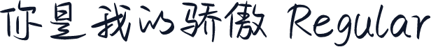 你是我的骄傲 Regular