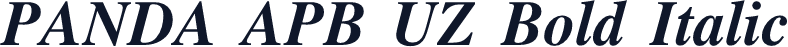 PANDA APB UZ Bold Italic