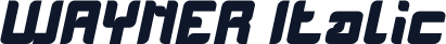 WAYNER Italic