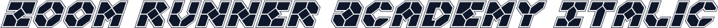 Zoom Runner Academy Italic