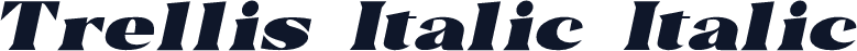 Trellis Italic Italic