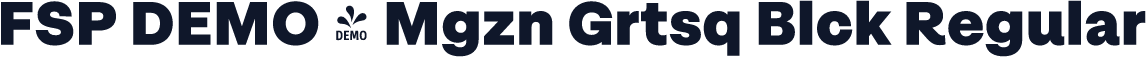 FSP DEMO - Mgzn Grtsq Blck Regular