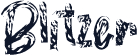 Blitzer
