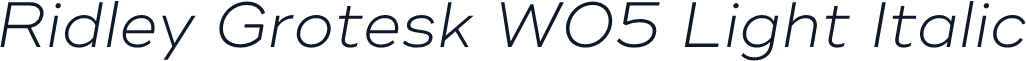 Ridley Grotesk W05 Light Italic