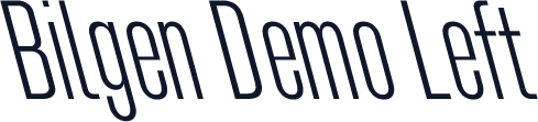 Bilgen Demo Left