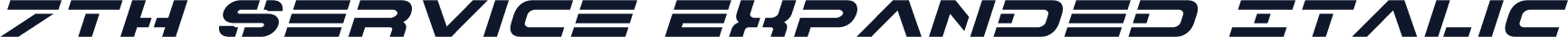 7th Service Expanded Italic