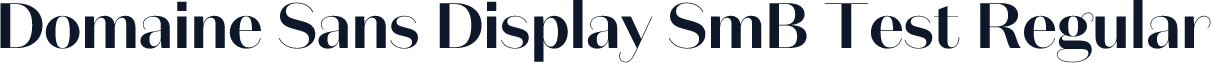 Domaine Sans Display SmB Test Regular
