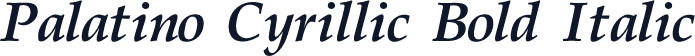 Palatino Cyrillic Bold Italic