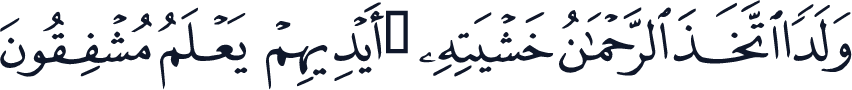 QCF_P324