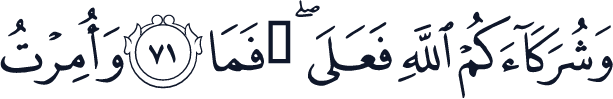 QCF_P217
