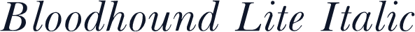 Bloodhound Lite Italic
