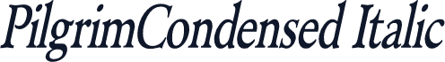 PilgrimCondensed Italic