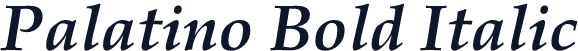 Palatino Bold Italic