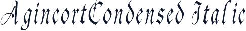 AgincortCondensed Italic