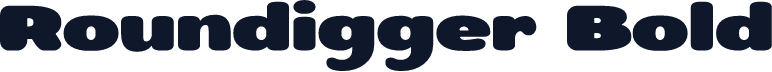 Roundigger Bold