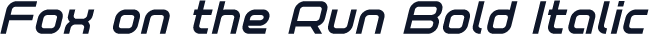 Fox on the Run Bold Italic