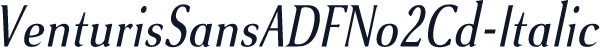 VenturisSansADFNo2Cd-Italic