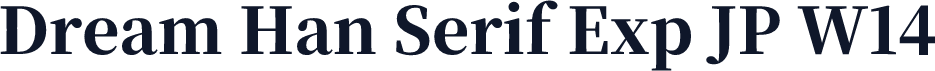 Dream Han Serif Exp JP W14