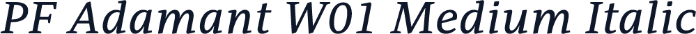 PF Adamant W01 Medium Italic