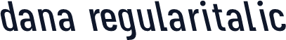 dana regularitalic