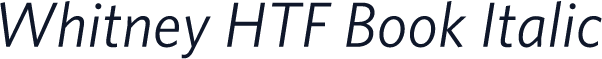 Whitney HTF Book Italic