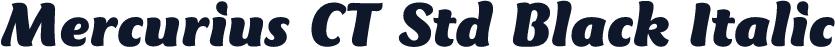 Mercurius CT Std Black Italic
