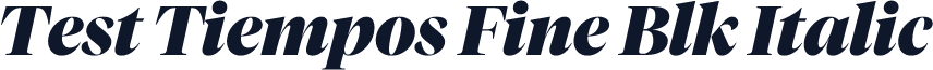 Test Tiempos Fine Blk Italic
