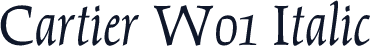 Cartier W01 Italic