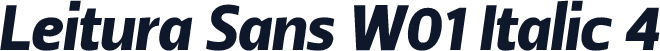 Leitura Sans W01 Italic 4