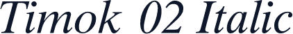 Timok 02 Italic
