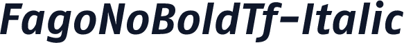 FagoNoBoldTf-Italic