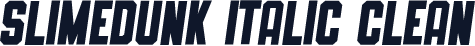 SLIMEDUNK ITALIC CLEAN