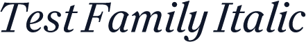 Test Family Italic