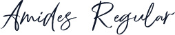 Amides Regular