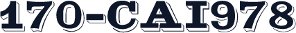 170-CAI978