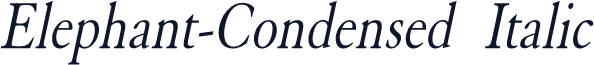 Elephant-Condensed Italic