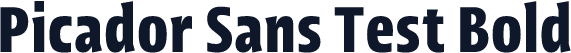 Picador Sans Test Bold