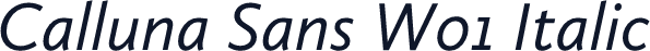 Calluna Sans W01 Italic
