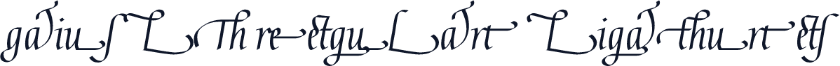 Gaius LT Regular Ligatures